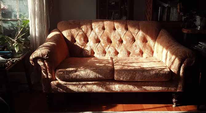 I Nursed My Sick Grandmother and Inherited Her Old Couch After She Died – Then I Noticed a Zipper in the Cushion