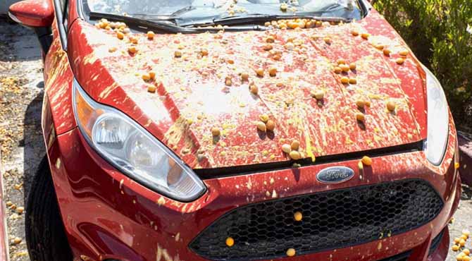 My Neighbor Egged My Car for Blocking the View of His Halloween Display – so I Prepared a ‘Surprise’ He Won’t Forget