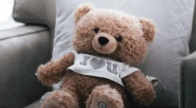 My Daughter Found a Zipper on the Teddy Bear an Old Lady Gave Her – What Was Inside Changed Our Lives