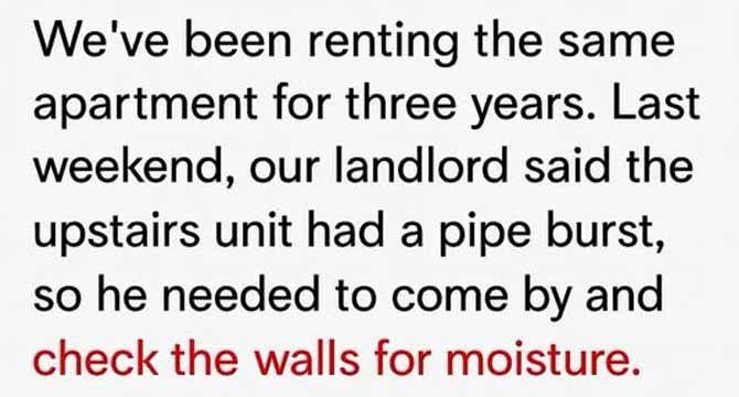 🔍 “Behind the Mirror: The Day Our Home Turned Against Us”