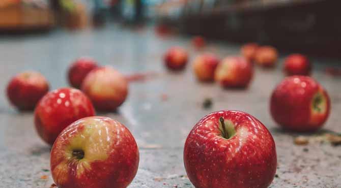 I Helped an Elderly Woman Who Fell and Dropped Her Apples in a Grocery Store – the Next Day, Security Dragged Me into the Back Office