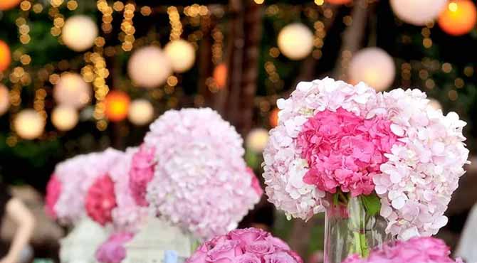 My Future SIL Ruined My Yard for Her Wedding – My Wedding Gift Left Her Speechless