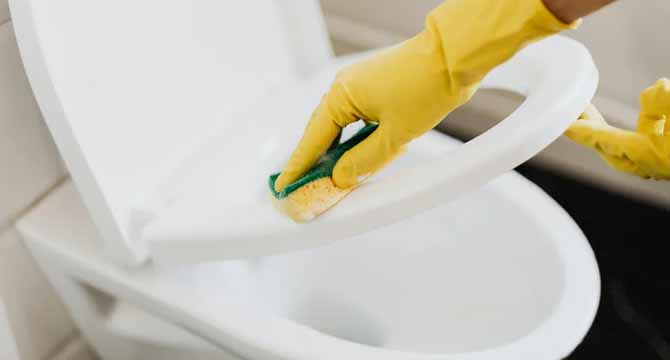 My Husband Made Me Clean His Mistresses’ Toilets for Money, but Soon He Regretted It—Badly