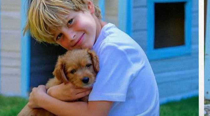 Our Neighbor Destroyed My Son’s Puppy’s House – Karma Was Faster than Me