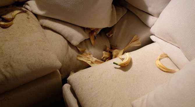 My Adult Stepdaughter Left Trash Around My House and Treated Me Like a Maid — So I Taught Her a Lesson