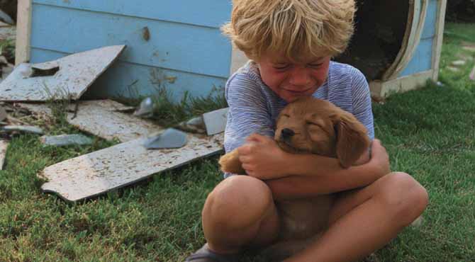 Our Neighbor Destroyed My Son’s Puppy’s House – Karma Was Faster than Me
