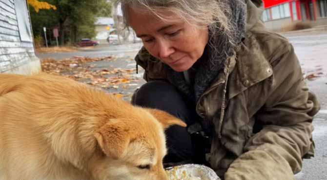 I Gave Almost My Entire Paycheck to a Homeless Woman with a Dog – Six Months Later, I Got a Letter from Her