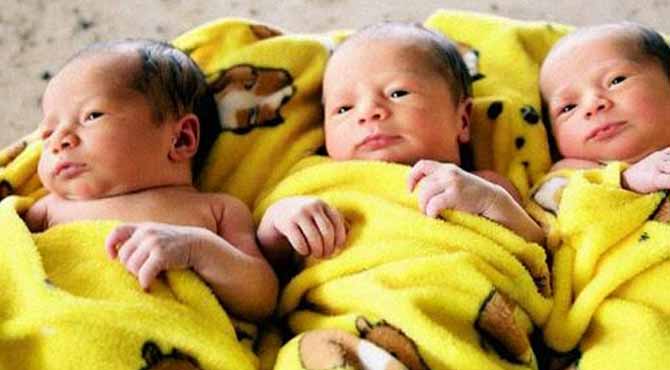 I Found an Empty Stroller for Triplets Next to an Abandoned Store – Suddenly, I Heard Baby Cries from the Building