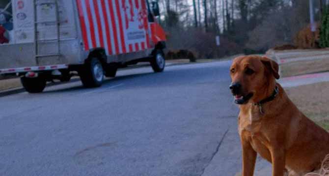 My Entitled Neighbor Hated My Dog — One Day, He Saved Her Life