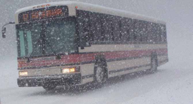 Elderly Man Gave His Bus Ticket to a Poor Woman with a Baby – One Year Later, He Was Rewarded for His Kindness