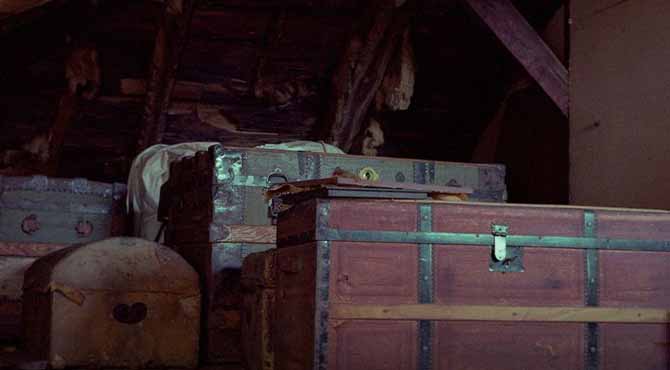 Orphaned Teen Girl Helps Elderly Neighbor Clean the Attic – Then Finds a Photo That Proves Her Life Was a Lie