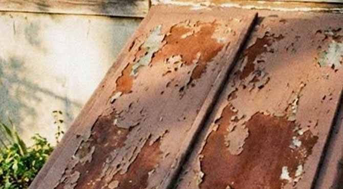 My Grandma Kept the Basement Door Locked for 40 Years – What I Found There After Her Death Completely Turned My Life Upside Down